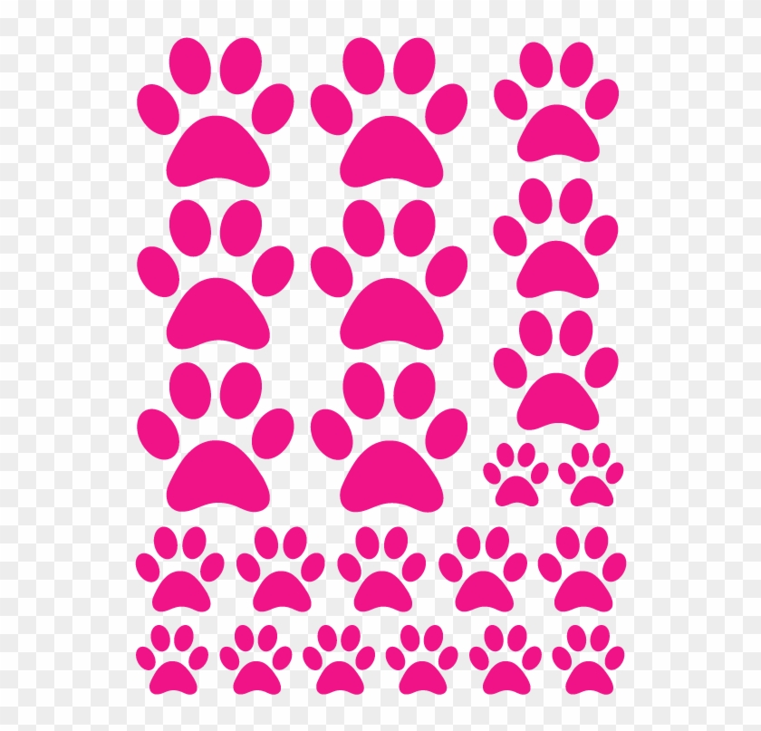 Why Are Puppies Paws Pink