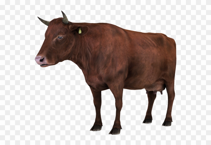 Vacas Png Vacas Comiendo Png Transparent Png 700x562 3320710