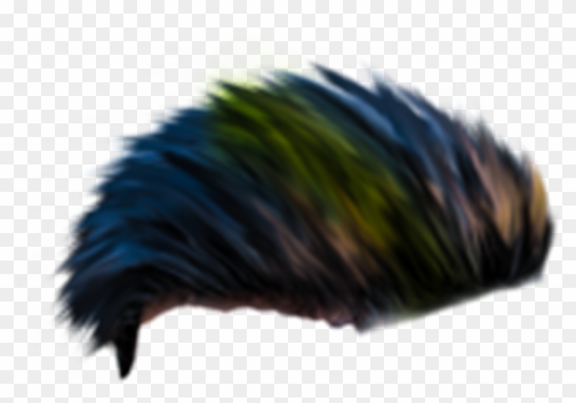 Mens Hair For Editing Whatsapp Ultra Hd Png Stickers - Parrot, Transparent Png - 1600x1334(#3348379) - PngFind Mens Hair For Editing Whatsapp Ultra Hd Png Stickers - Parrot, Transparent Png - 1600x1334(#3348379) - PngFind