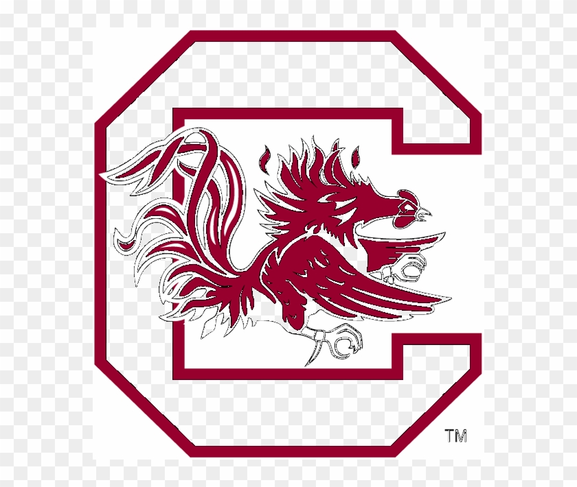 South Carolina Gamecocks , Png Download - Gamecock, Transparent Png ...
