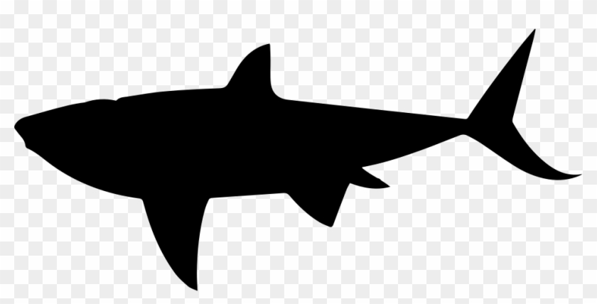 Download Png File Svg Shark Shape Png Transparent Png 981x454 3400892 Pngfind