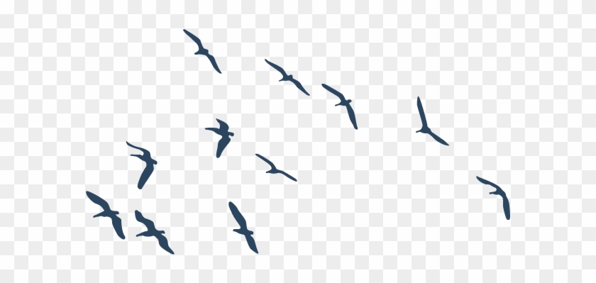 Aves Volando Silueta Png - Pajaros Png, Transparent Png - 614x614(#3414046)  - PngFind