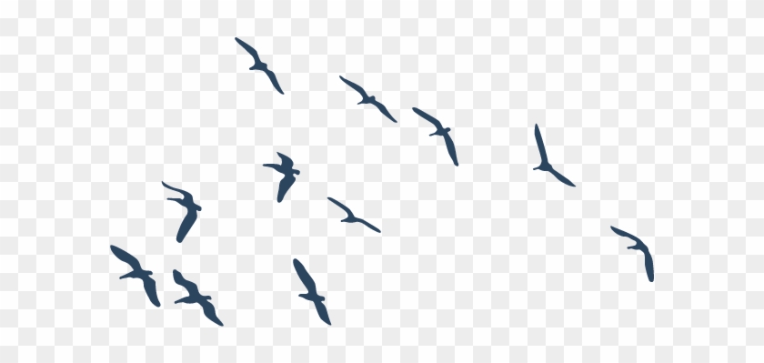 picture Aves Pajaros Volando Png aves volando silueta png pajaros png