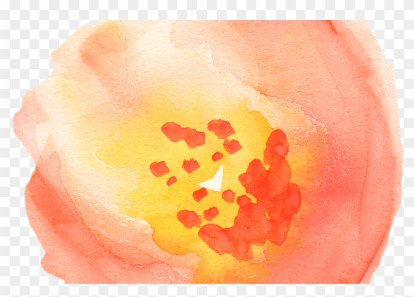 Free Fall Watercolor Floral Clip Art So Pretty Free - Watercolor Painting, Hd Png Download - 1276X856(#3458971) - Pngfind