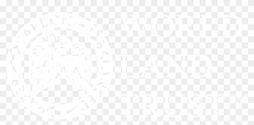 Is Preserving Mature Habitat Through Avoided Deforestation Diamrusa Hd Png Download 921x450 3467221 Pngfind