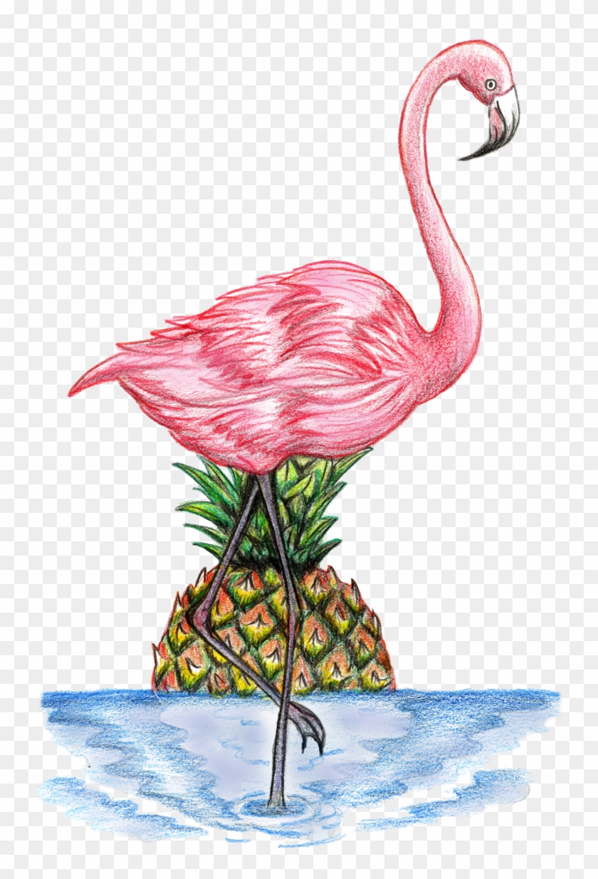 Drawing - Flamingo Dibujo, HD Png Download - 745x1200(#3473395) - PngFind