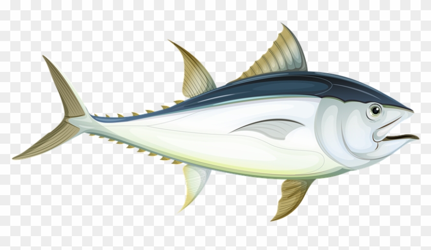 Fish Sea Tuna Underwater Water Ocean Animal - Tuna Fish Cartoon Png,  Transparent Png - 960x640(#3496774) - PngFind
