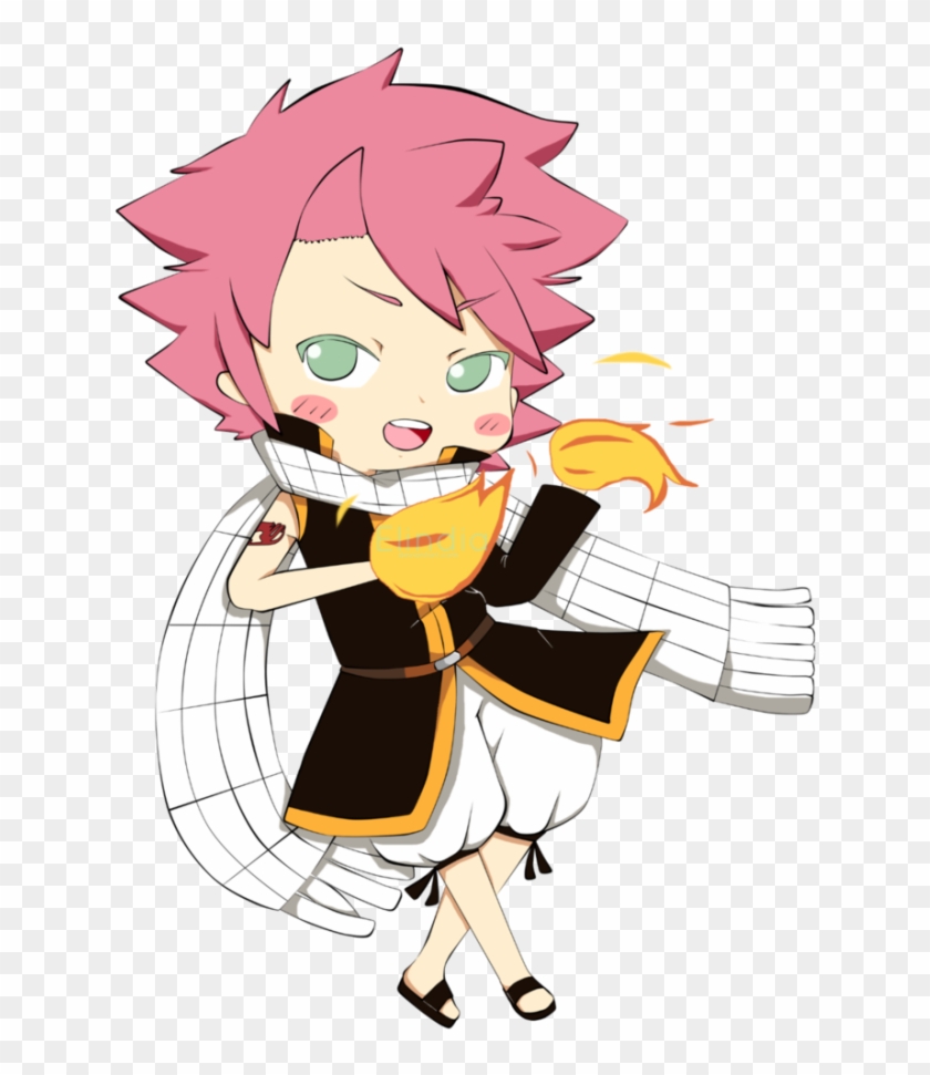 Chibi Natsu Fairy Tail Anime Boy Cartoon Hd Png Download 636x891 3496913 Pngfind