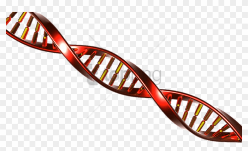 Free Png Dna String Red And Yellow Png Image With Transparent - Adn ...