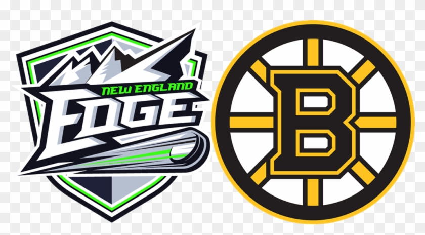 Download Boston Bruins Free Svg File