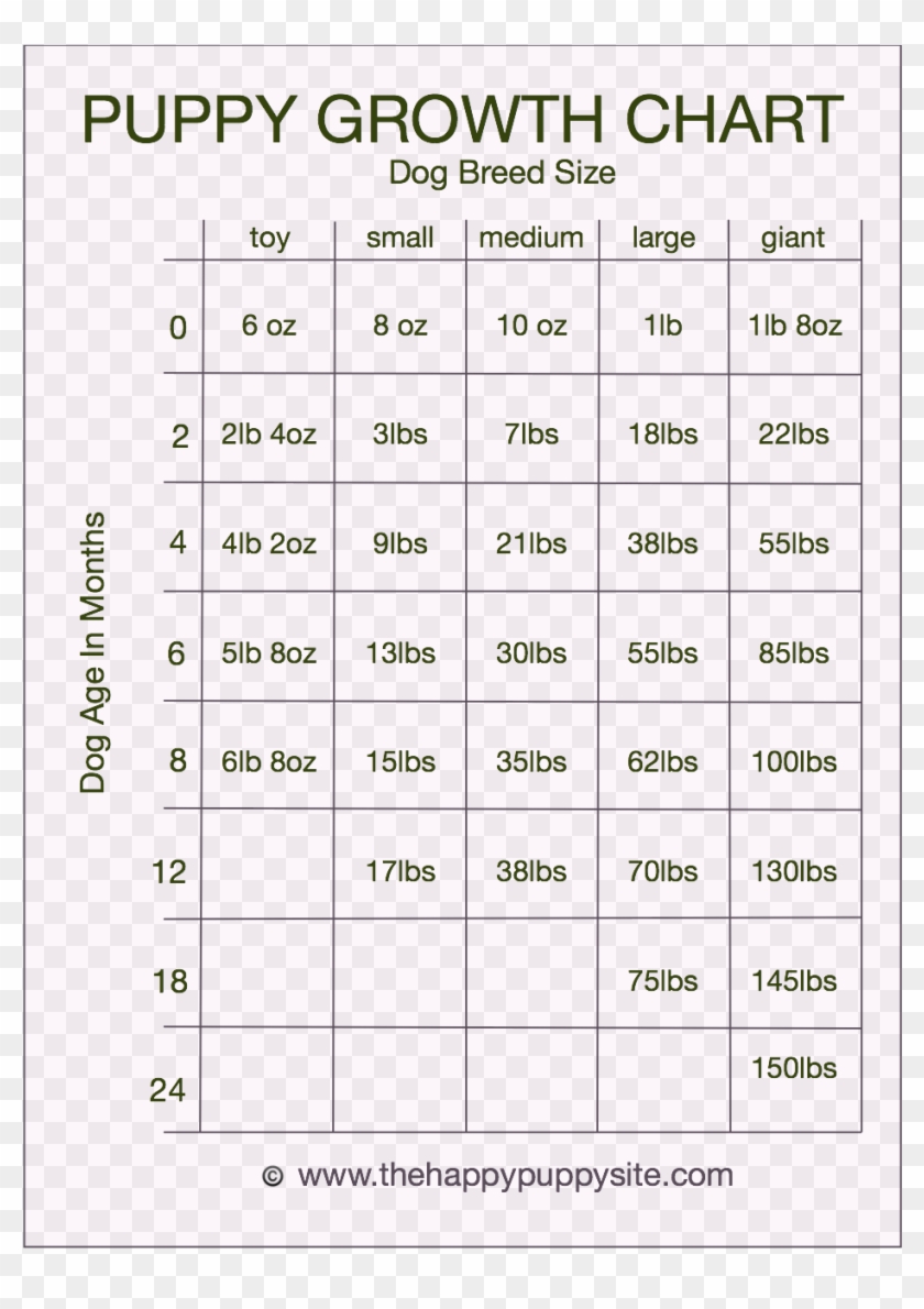 Labrador Retriever Feeding Chart