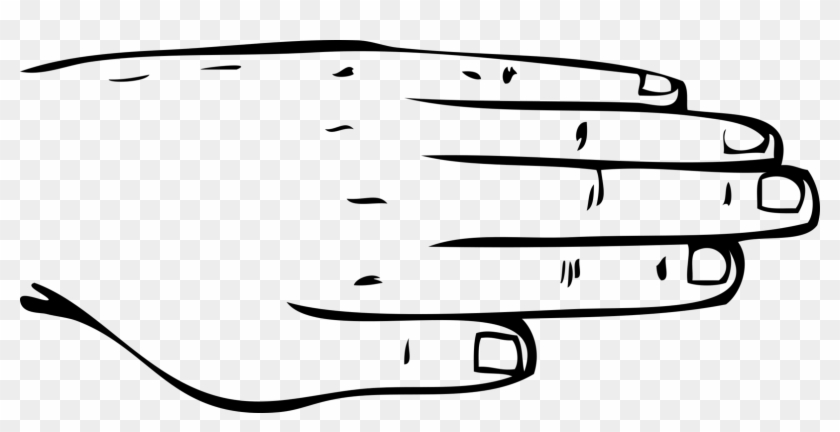Human Body Human Back Hand Nail Computer Icons Back Of Hand Outline Hd Png Download 1607x750 Pngfind