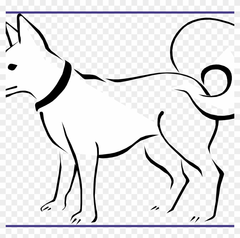 Download Bone Clipart Coloring Page And Use In - Domestic Animals Drawing  Easy, HD Png Download - 1600x1513(#3524794) - PngFind