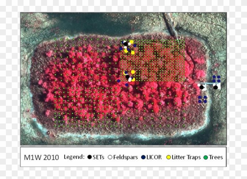 Lila Aerial Photographs From 2010 Of Tree Island M1w Aerial Photography Hd Png Download 850x542 3529885 Pngfind