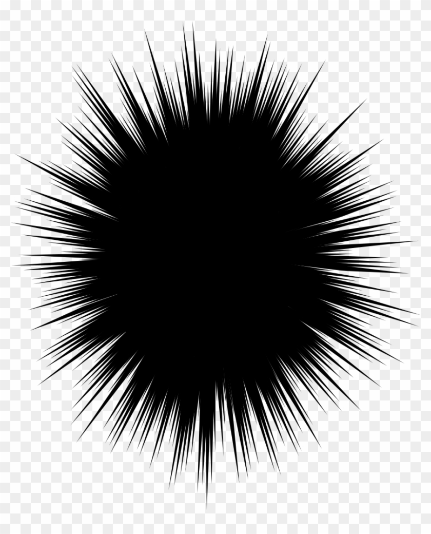 Image 131 Kb Sea Urchin Hd Png Download 940x1080 Pngfind