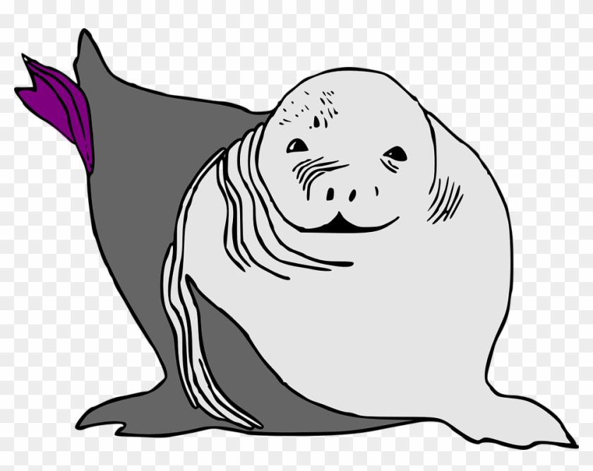 Sea Lion Clipart Animated - Sea Lion Cartoon, HD Png Download - 960x718(#3551898) - PngFind Sea Lion Clipart Animated - Sea Lion Cartoon, HD Png Download - 960x718(#3551898) - PngFind