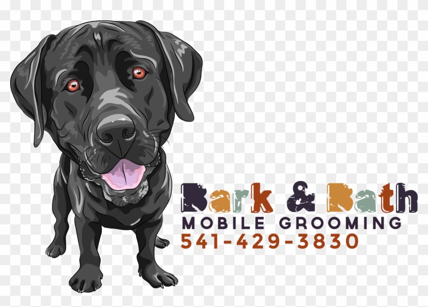 Cartoon Black Lab, HD Png Download 2560x1714(3552135) PngFind