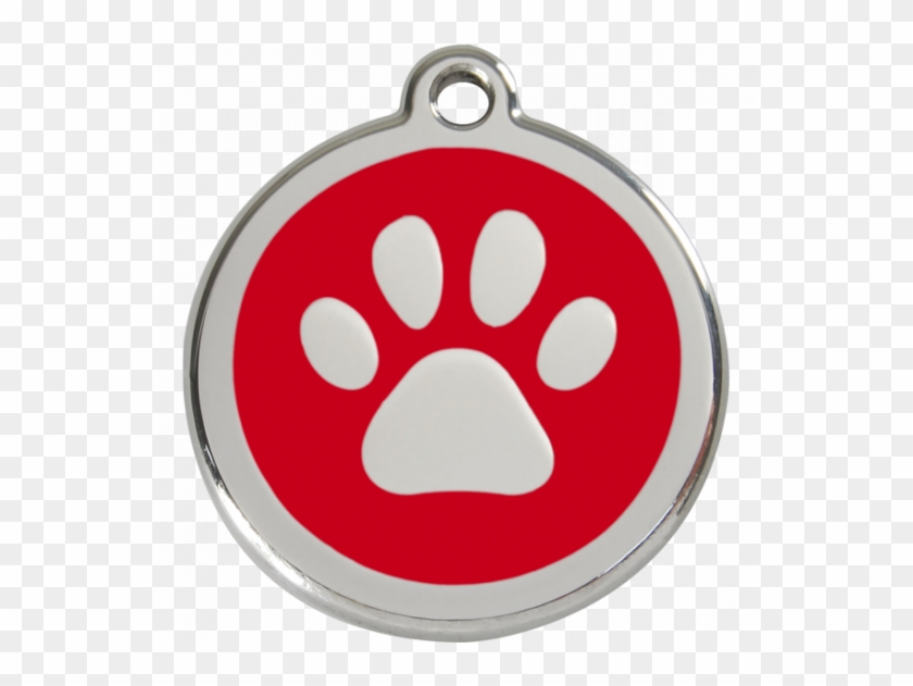 Medaille Chien Hd Png Download 600x550 Pngfind Medaille Chien Hd Png Download 600x550 Pngfind