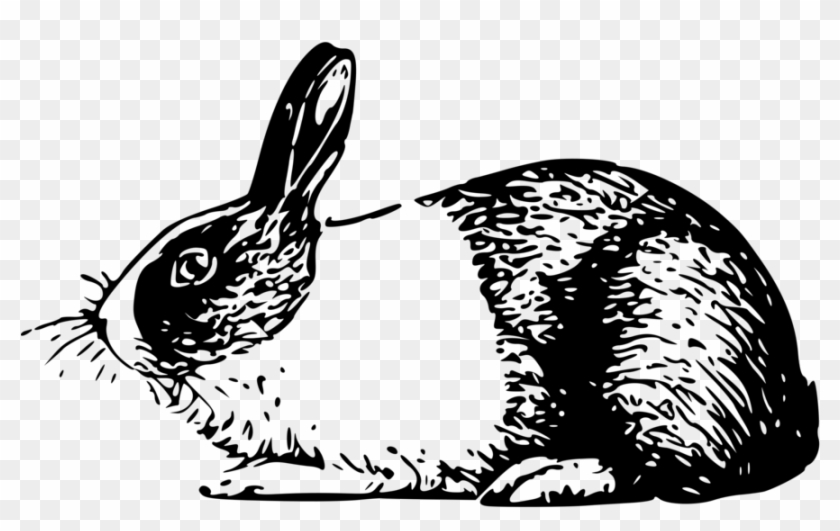 Vector Rabbit Foot Transparent Download Free Black Rabbit Clipart Black And White Hd Png Download 888x520 3557910 Pngfind