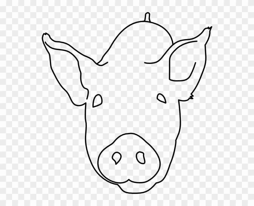 Outline Of Pig Head, HD Png Download 564x600(3558326) PngFind