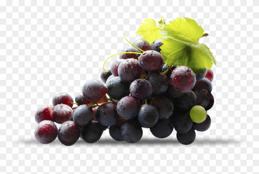 Grapes Red Grapes, HD Png Download 1181x1181(3562026) PngFind