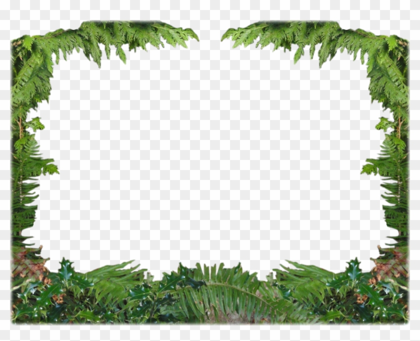 850 X 650 8 - Forest Frame Png, Transparent Png - 850x650(#362118) - PngFind