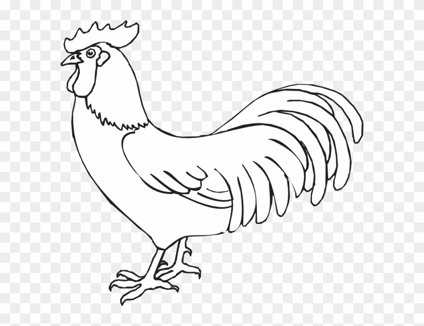 Download Original Png Clip Art File Rooster Outline Svg Images Transparent Png 600x565 365519 Pngfind