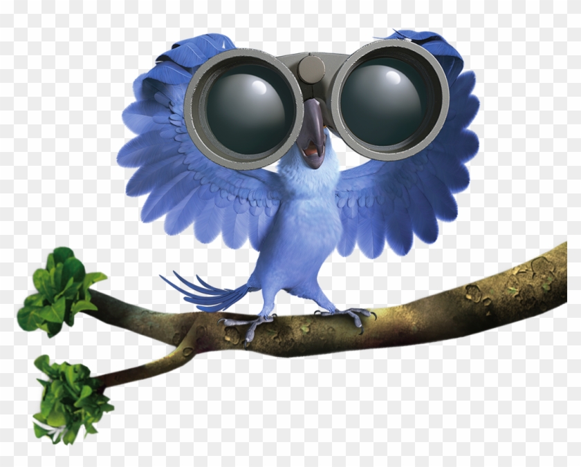 Rio Images Blu On Tree Hd Wallpaper And Background - Rio 2 Characters Png,  Transparent Png - 1033x783(#3609651) - PngFind