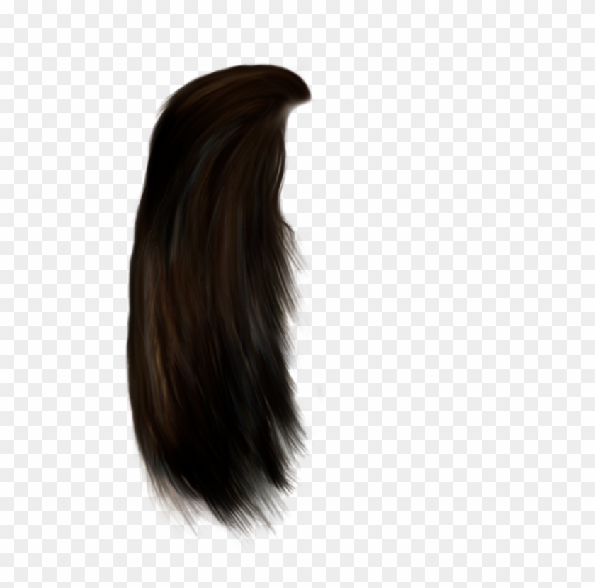 Brown Wig PNG and Brown Wig Transparent Clipart Free Download