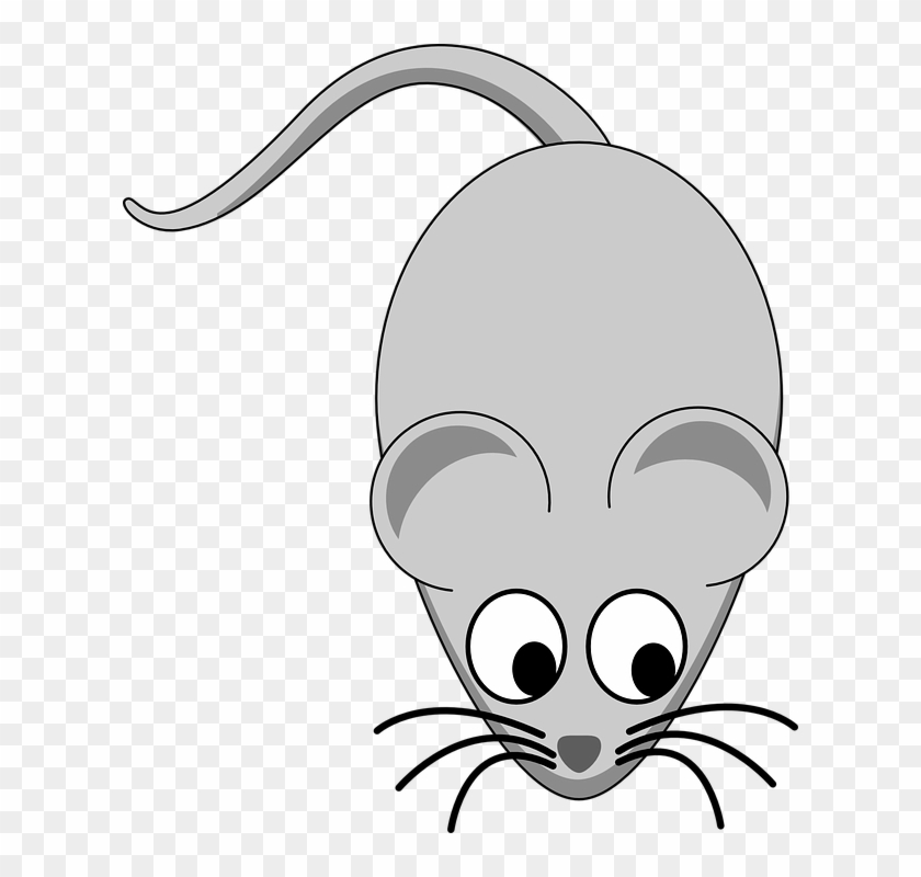 Mouse Rodent Animal Small Pet Cute Cartoon Comic - Free Clip Art Mouse, HD  Png Download - 616x720(#3624492) - PngFind