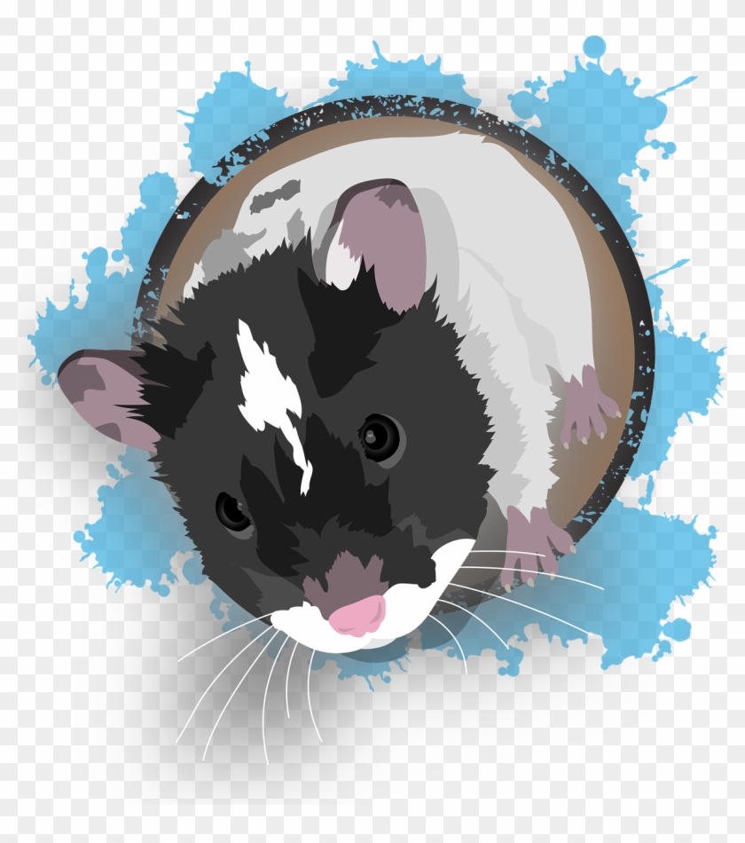 Hamster,pet,knuffig,fly On The Wall,cute,mouse,free - Cat Yawns, HD Png  Download - 1181x1280(#3624910) - PngFind