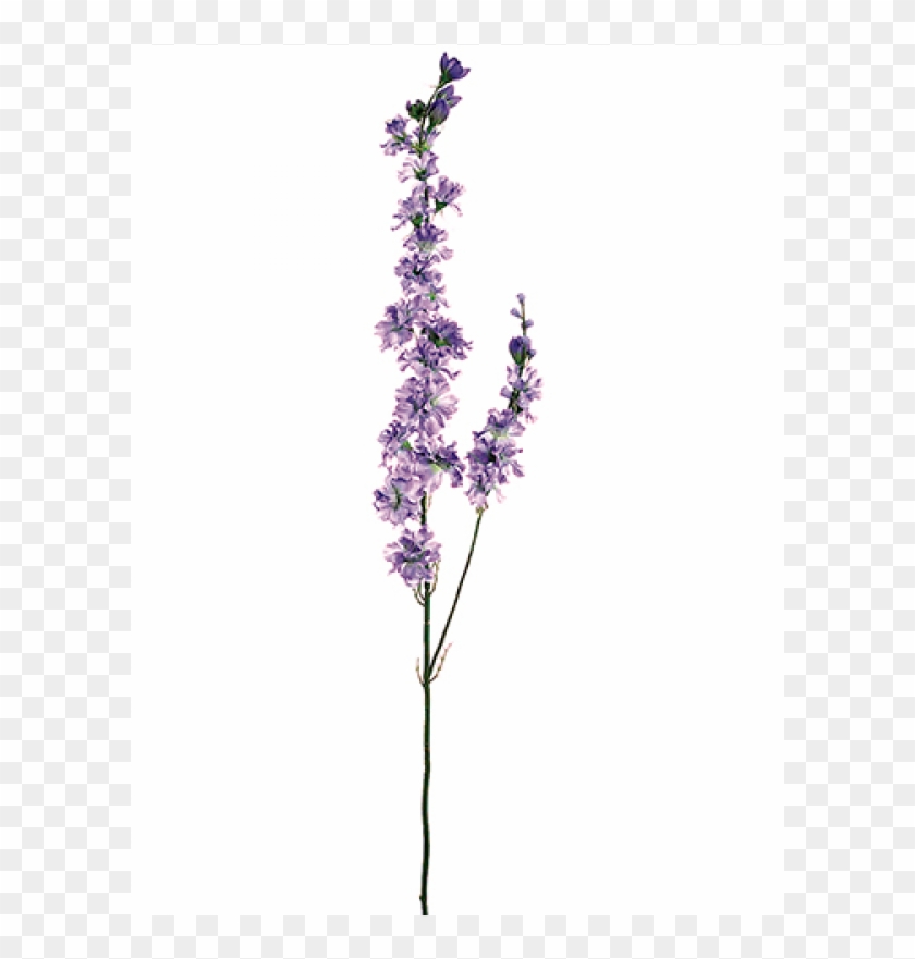 Flower Black and white Larkspur Tattoo Designs purple white leaf png   PNGWing