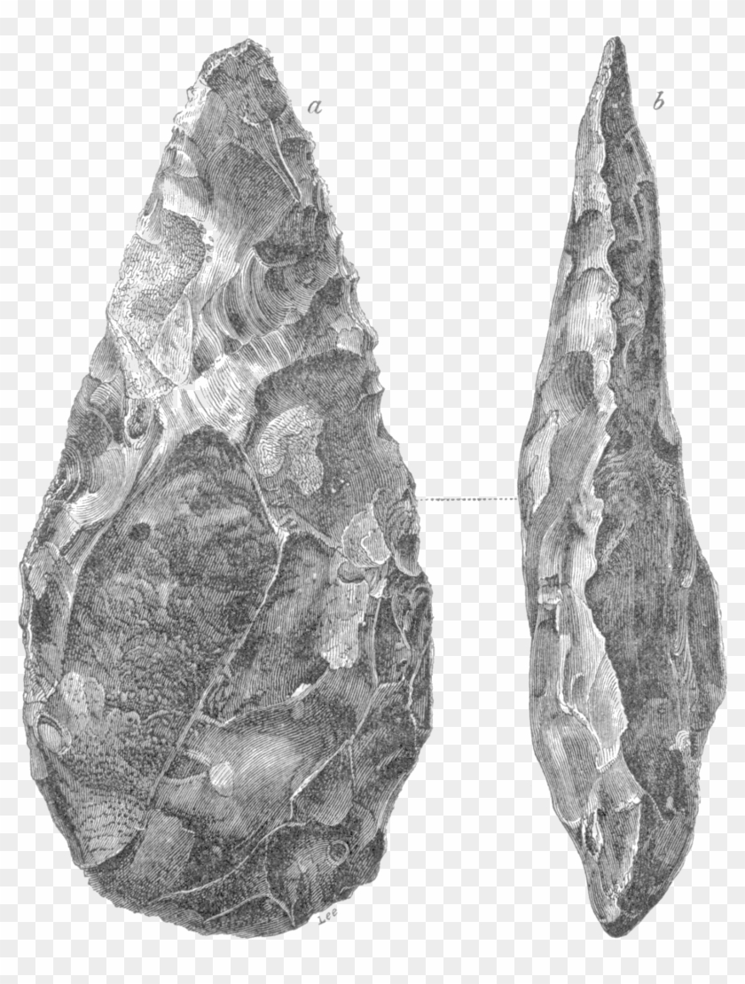 Geological Evidences Of The Antiquity Of Man Fig Bivalve, HD Png