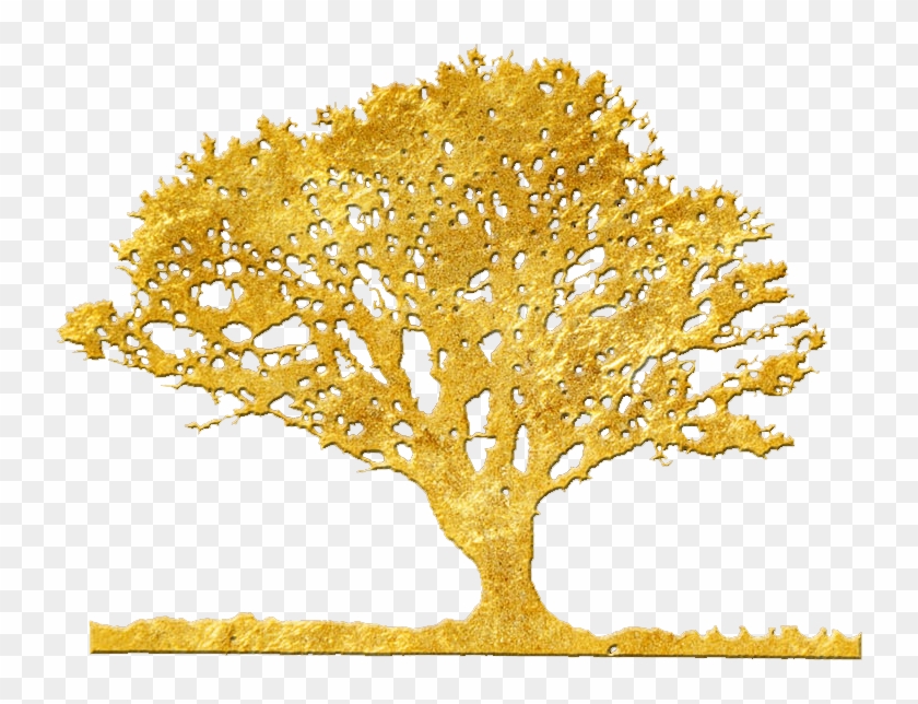 The Liquid Gold In Skincare Has Come Argan Tree Logo Hd Png Download 738x564 Pngfind The Liquid Gold In Skincare Has Come Argan Tree Logo Hd Png Download 738x564 Pngfind