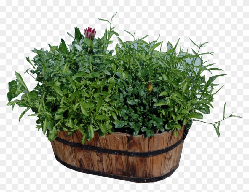 potted plants png download png flower pots transparent png 2188x1582 3656318 pngfind potted plants png download png flower