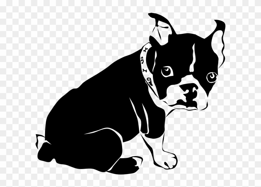 Boston Pup Clear Dibujos De Perros, Bulldog Frances - Dog Coloring Pages  Boston Terrier, HD Png Download - 800x566(#3682109) - PngFind