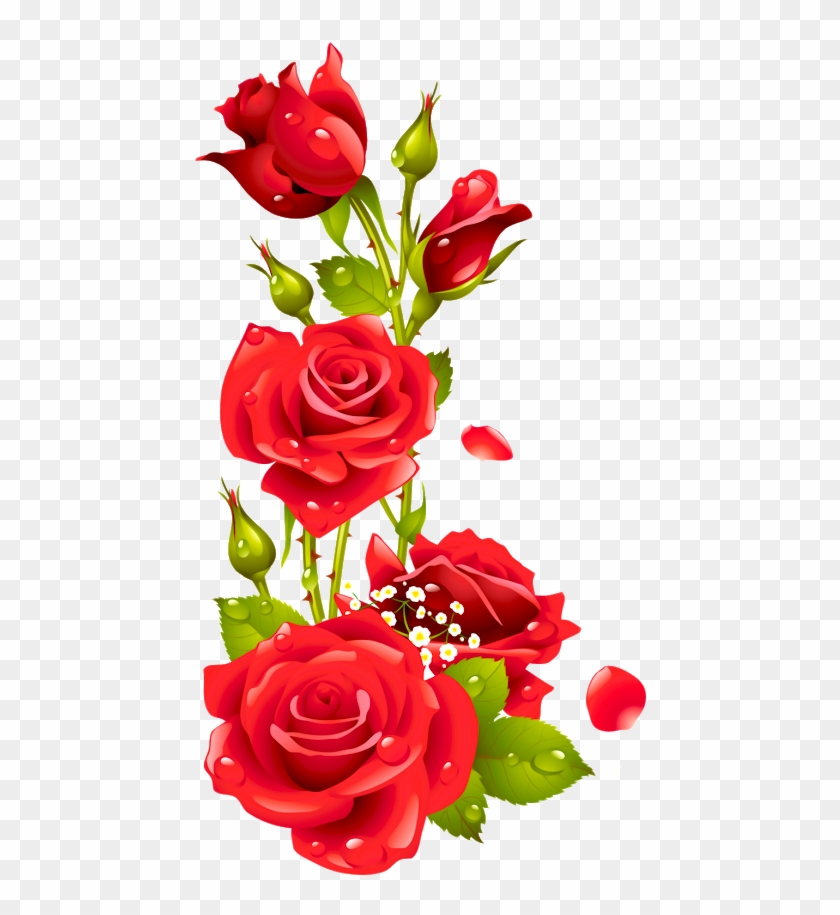 Flores En Formato Png - Rose Flower Design Border Png, Transparent Png - 872x872(#3682268) - PngFind