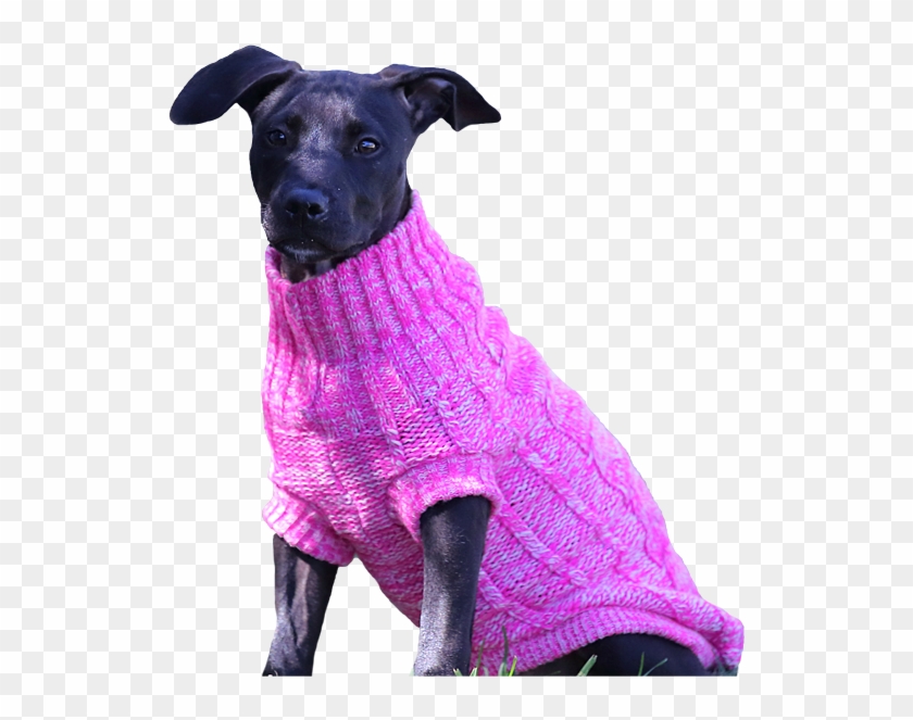 chunky knit dog jumper