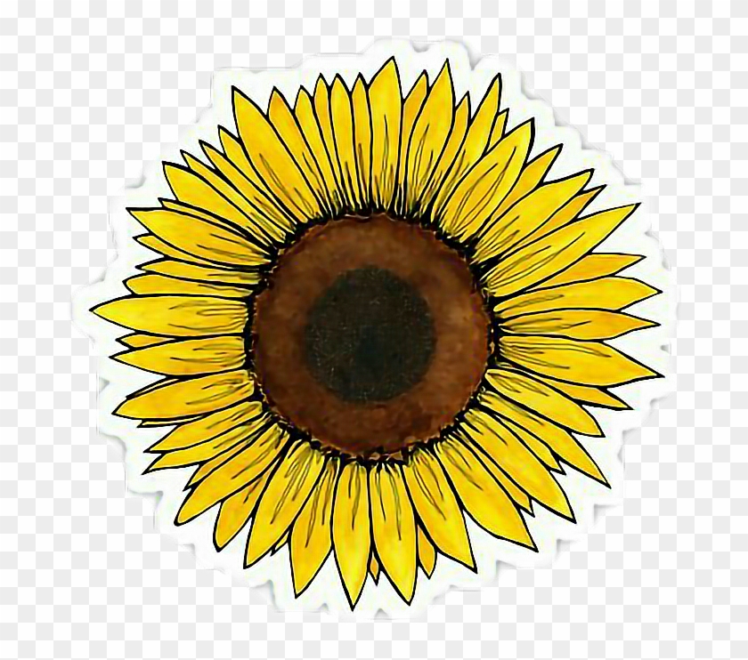 Yellow Flower Clipart Tumblr Transparent - Aesthetic Sunflower Sticker ...