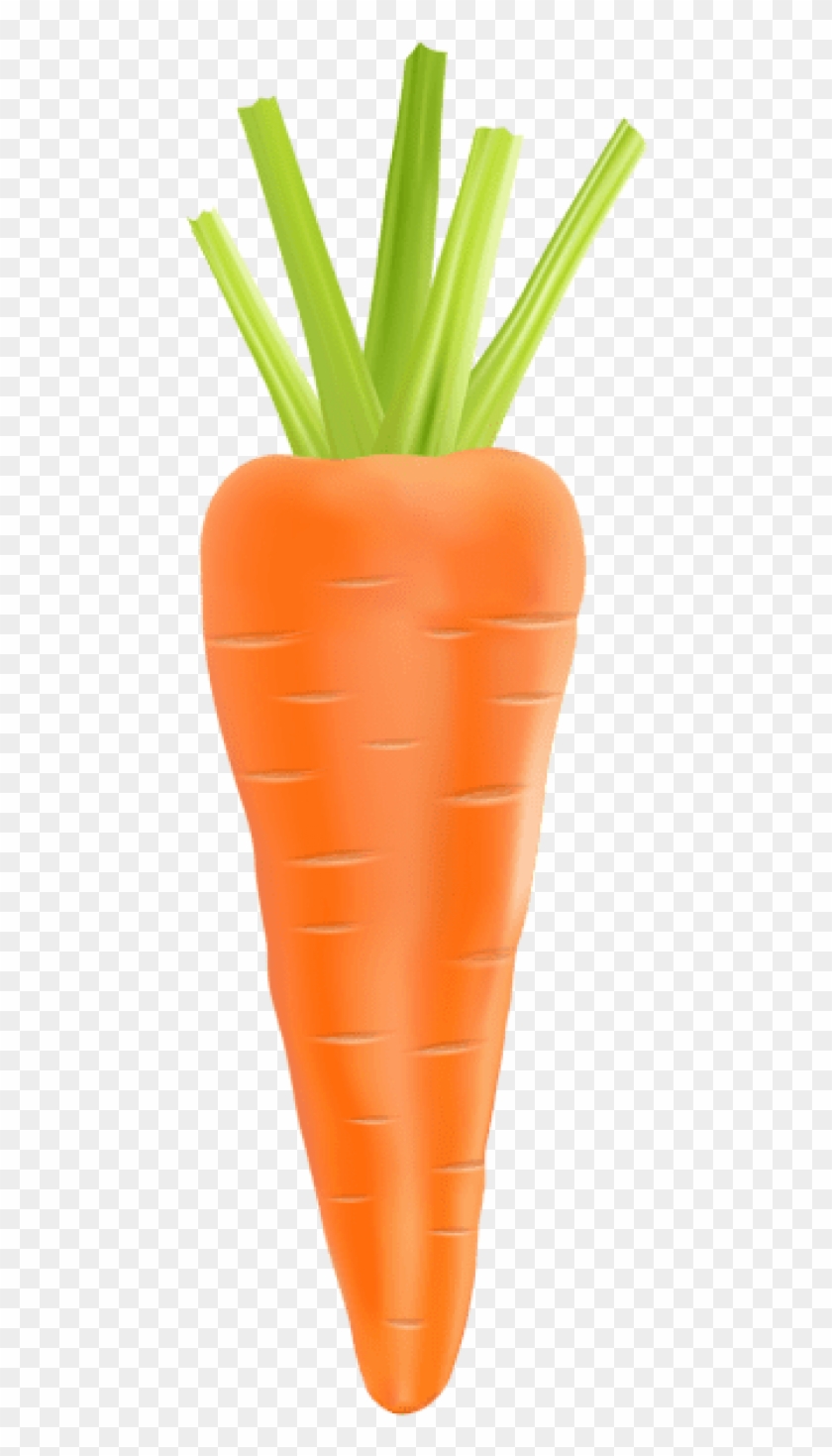 Free Png Download Carrot Transparent Png Images Background Transparent Background Carrot Clipart Png Download 480x1399 Pngfind