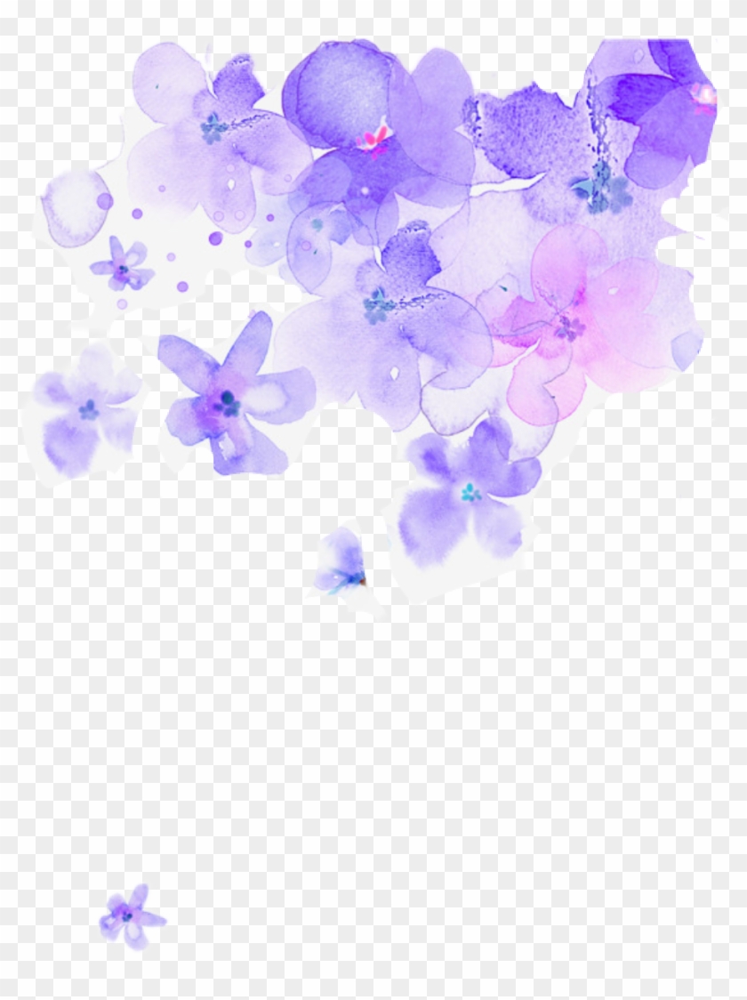 Flowers Watercolor Watercolorflowers Purple Watercolor Flowers