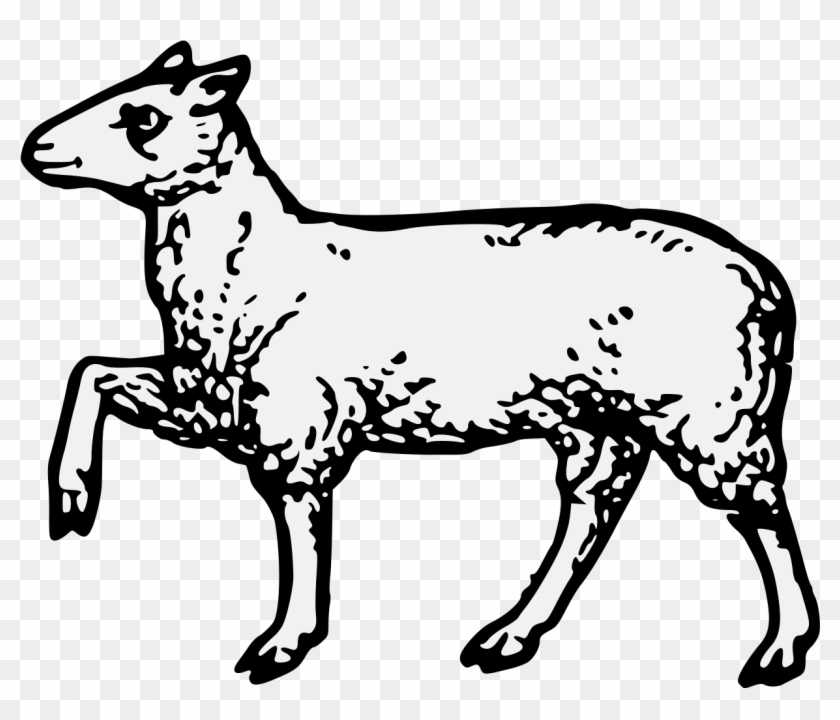 Details, Png - Goats, Transparent Png - 1248x993(#3717611) - PngFind