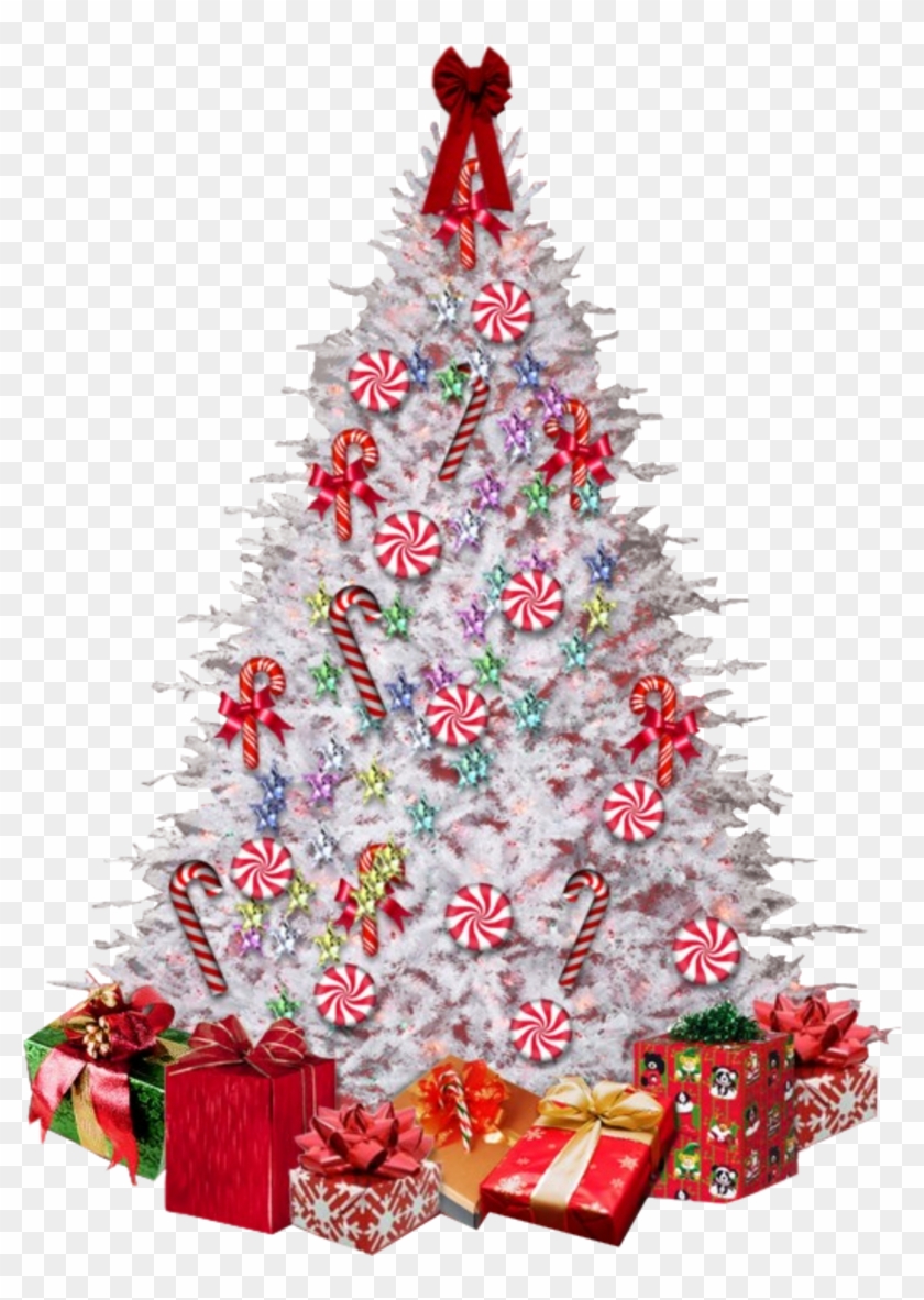 Png Sapin De Noel Sapin Noel Png Transparent Png 800x1102 Pngfind