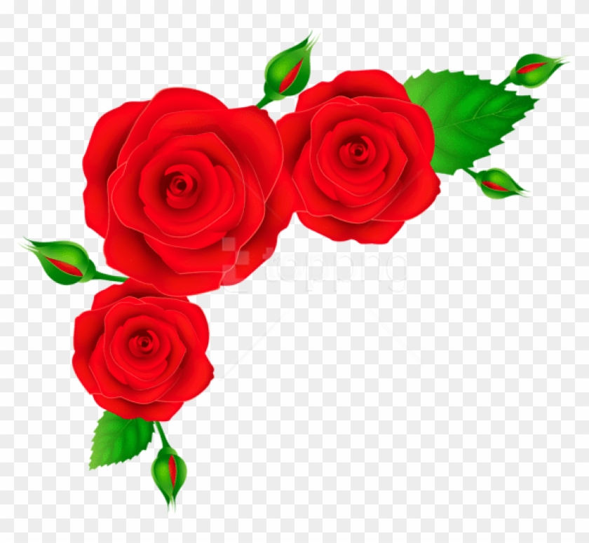 Rose Corner Svg