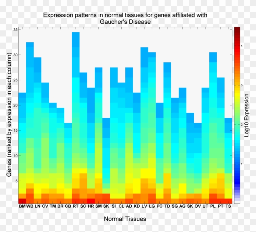 Expression Patterns In Normal Tissues For Genes Affiliated - Graphic ...