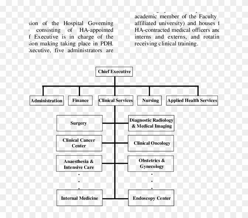 University Hospital Organizational Chart