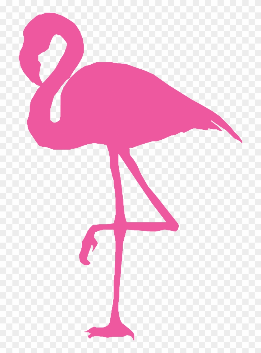 Pink Flamingo Flamingo Decal Hd Png Download 864x1194 3768040 Pngfind - flamingo roblox wallpaper related keywords suggestions