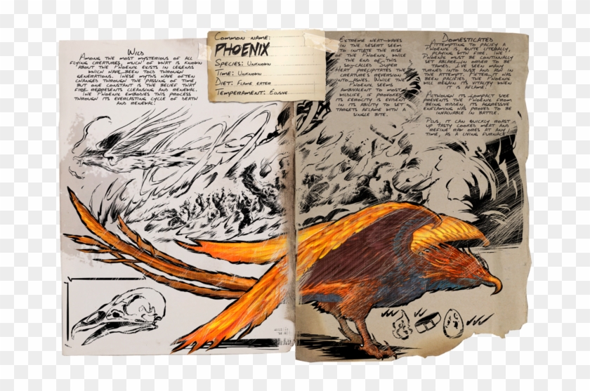 Ark Spino Spawn Locations Drawn Otter Ark - Ark Phoenix Spawn Location, Hd Png Download -  800X532(#381843) - Pngfind