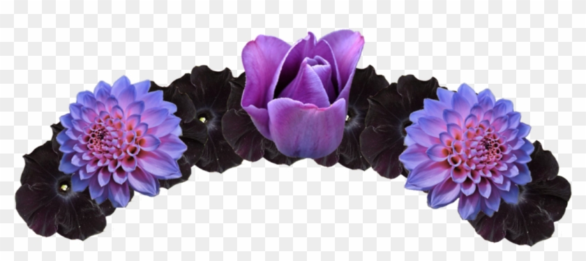 16+ Transparent Red Flower Crown Png Pictures