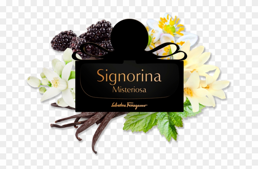 05 Olfactive Mist H Salvatore Ferragamo Signorina Misteriosa Png Transparent Png 718x475 Pngfind 05 Olfactive Mist H Salvatore Ferragamo Signorina Misteriosa Png Transparent Png 718x475 Pngfind
